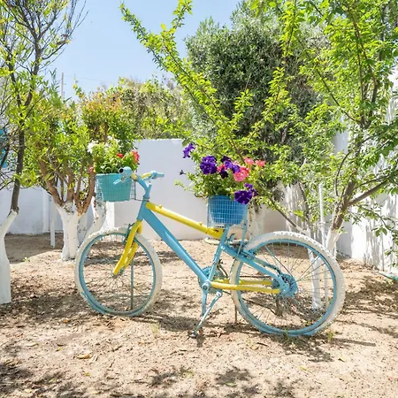 Perivoli 4-chora * Agkidia