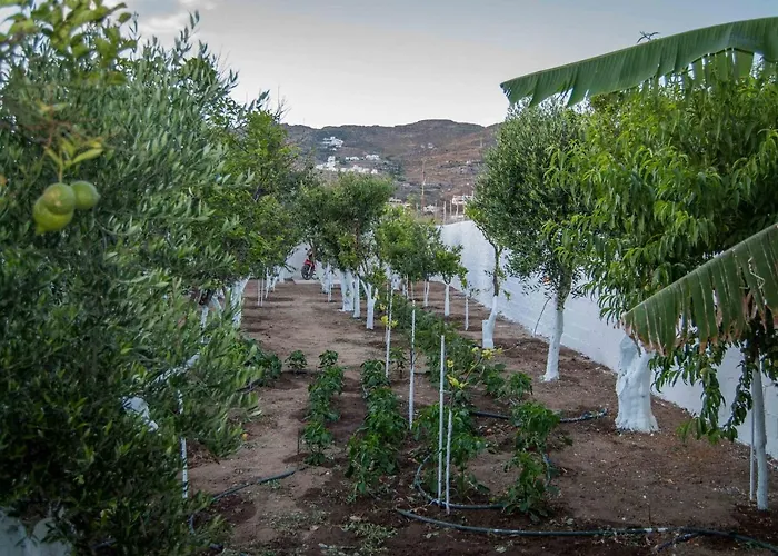 Appartement Perivoli 4-chora Agkidia