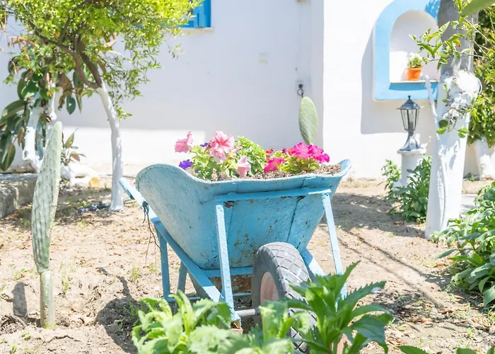 Perivoli 4-chora * Agkidia