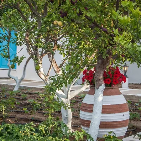 شقة Perivoli 4-chora