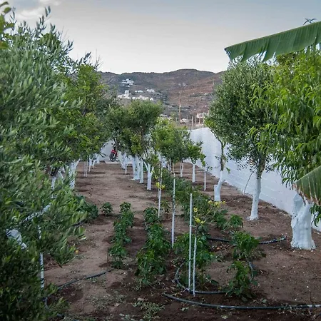 Апартаменты Perivoli 4-chora Agkidia