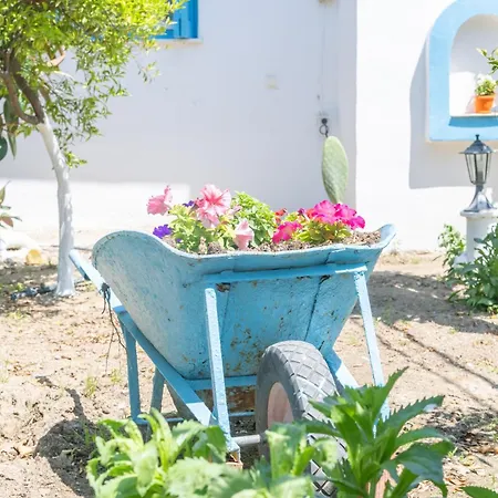 Perivoli 4-chora * Agkidia