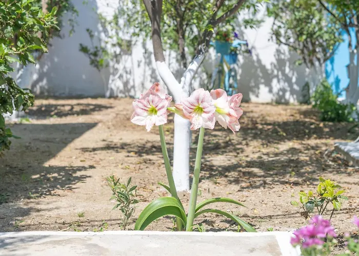 Perivoli 4-chora Agkidia